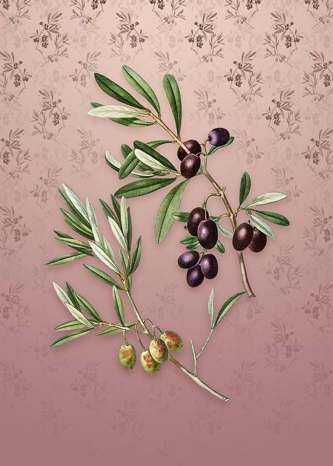 Olive on Dusty Pink