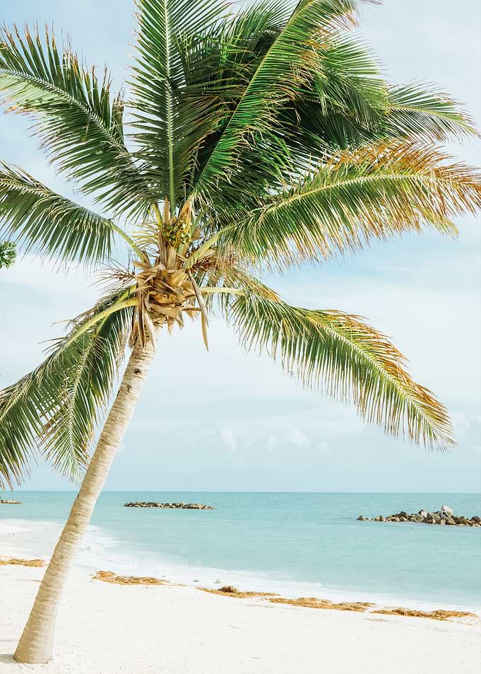 Tropical