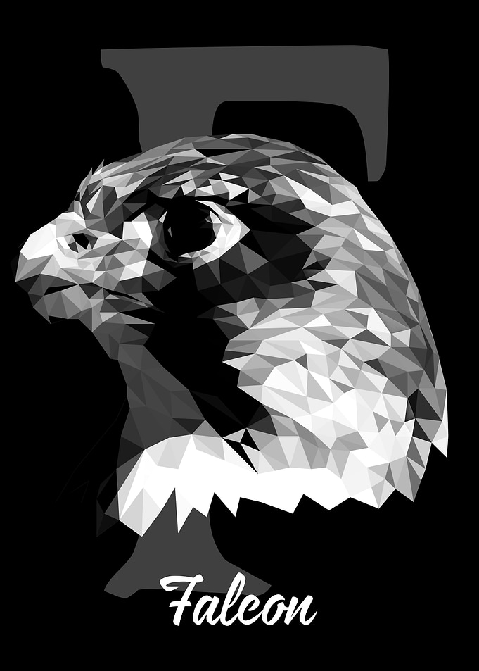 Falcon