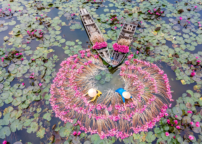 Flowers on the river