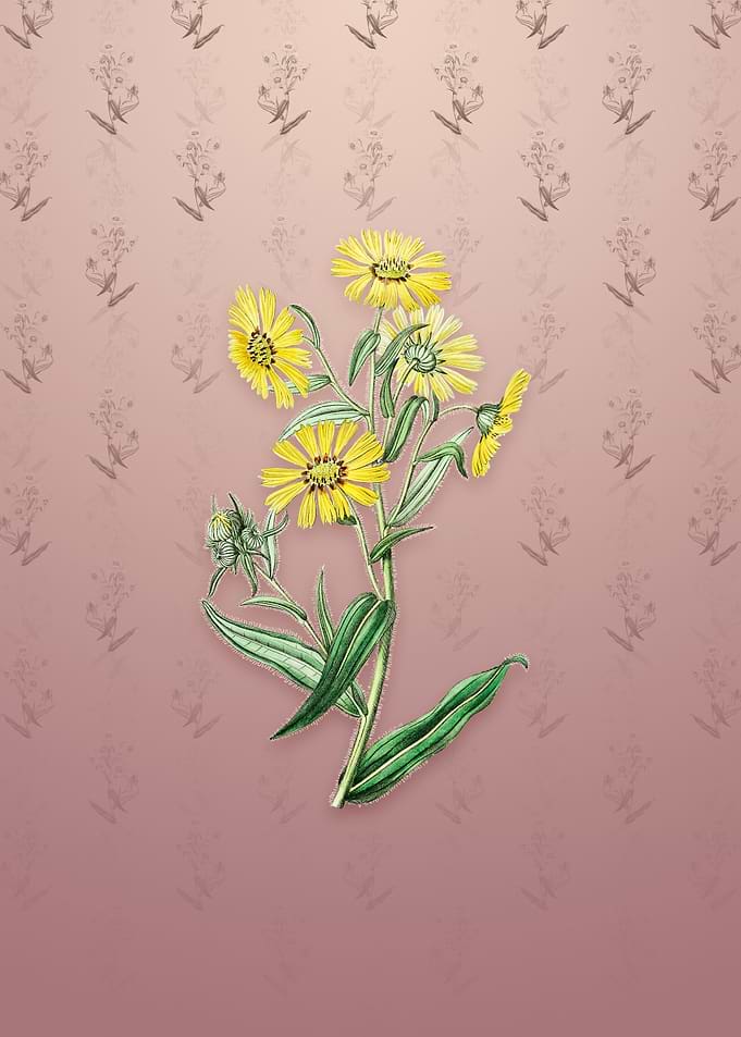 Vintage Madia Flower