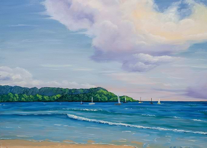 Hanalei Bay Hawaii Islands