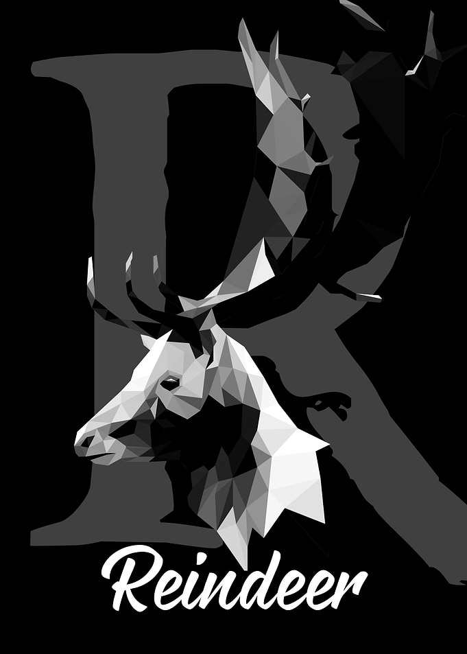 Reindeer