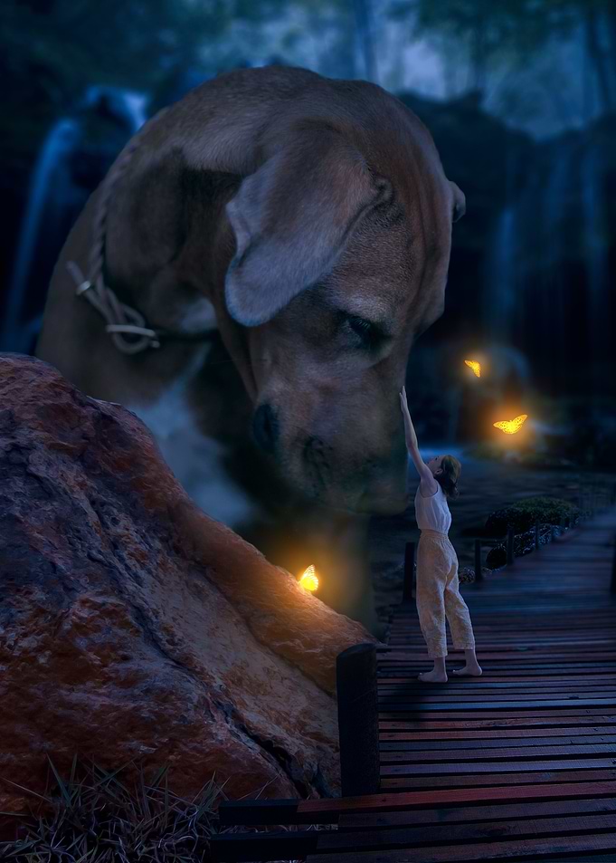 Magical Nights