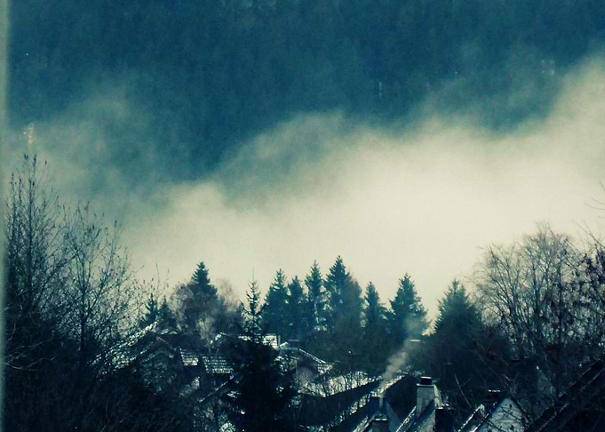 Fog