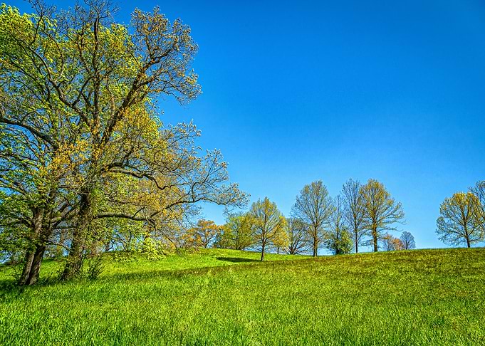 Appalachian Mountain Trail