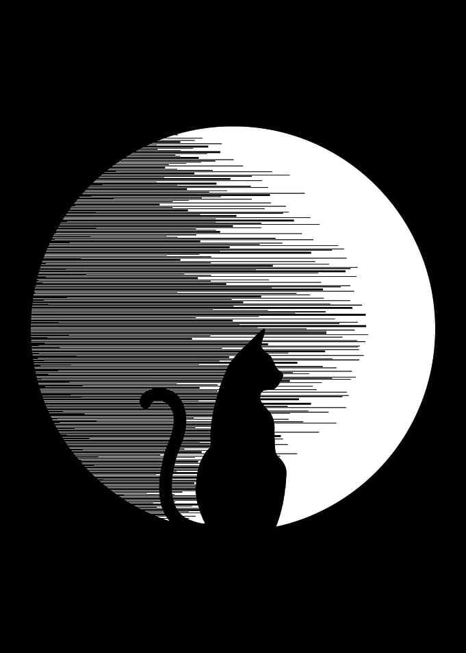 Eclipse and Cat