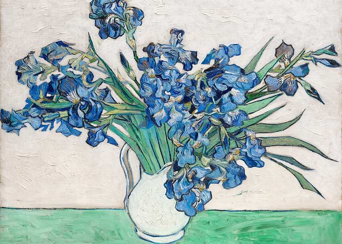Vincent Van Goghs Irises