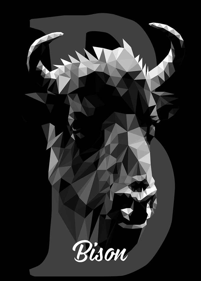 Bison