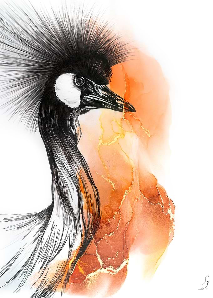 Crowned Crane