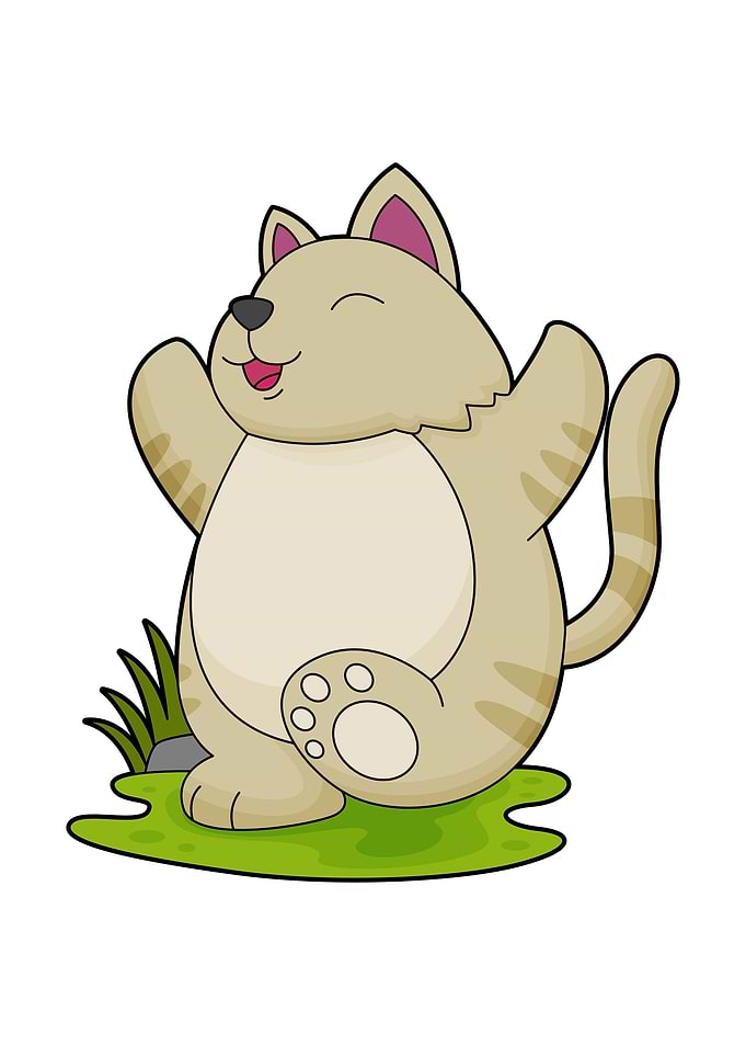 Cat Yoga Sports