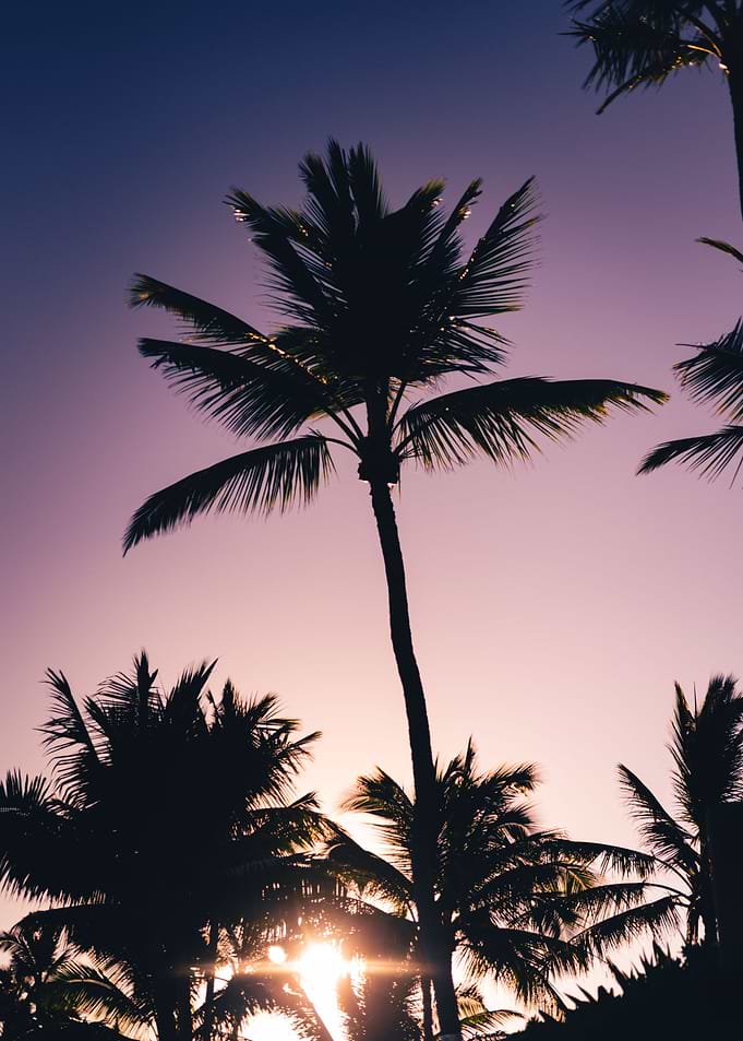 Morning Colors