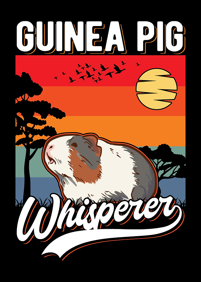 Guinea Pig Gift