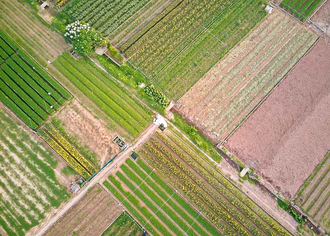 Aerial view of meadows