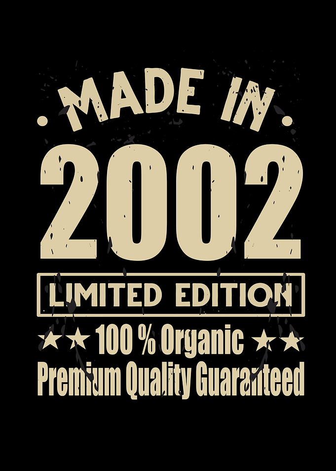 Made In 2002 Vintage Retro