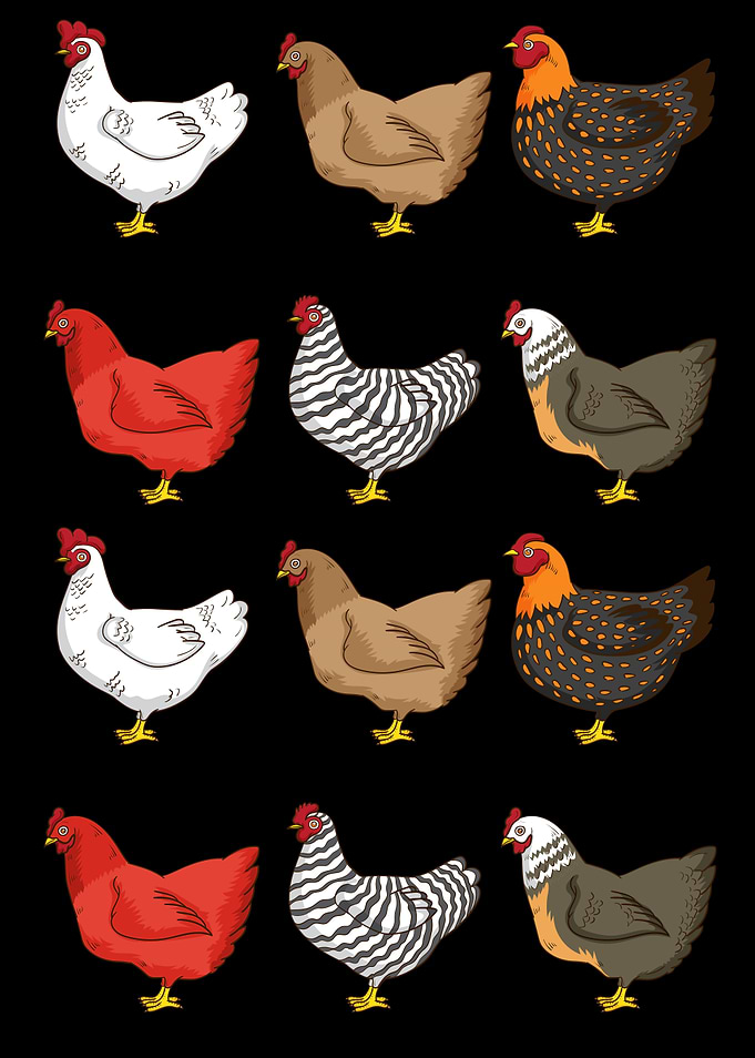 Chicken Lover Men Chicken