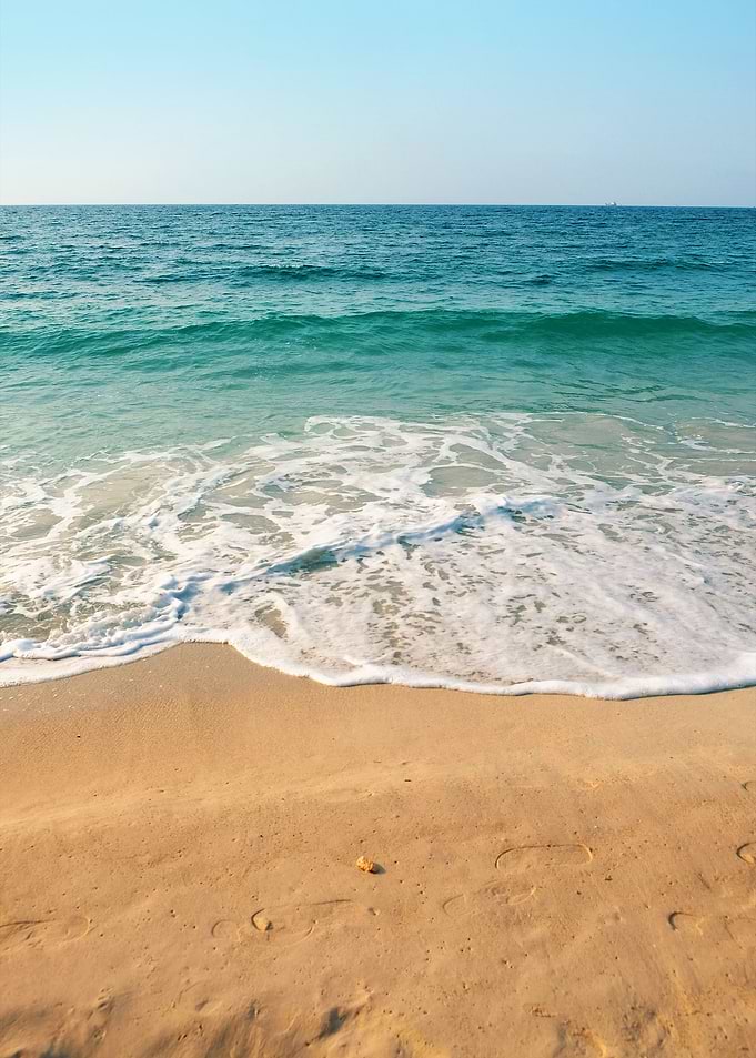 Along The Beach