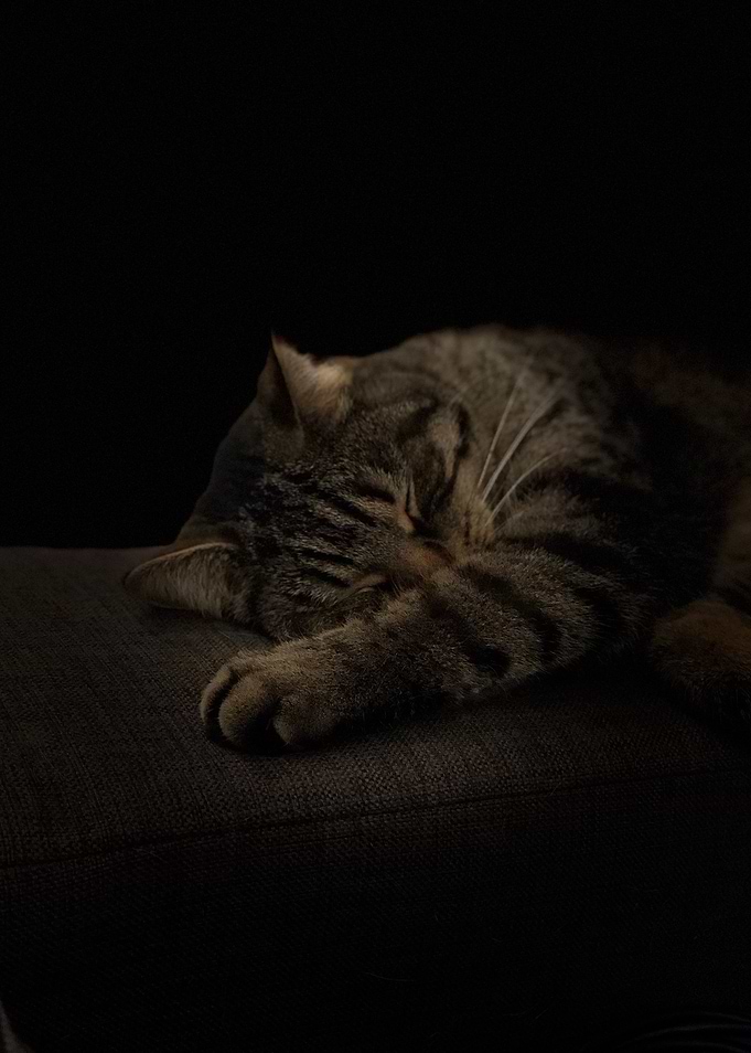 Rocky