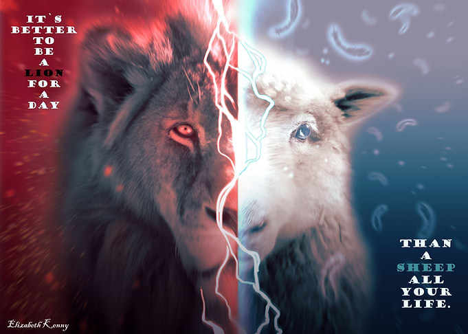 Lion vs sheep