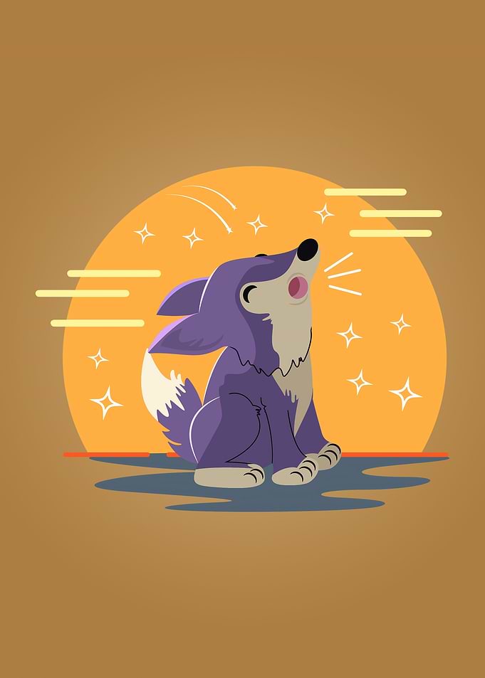 Cute baby wolf