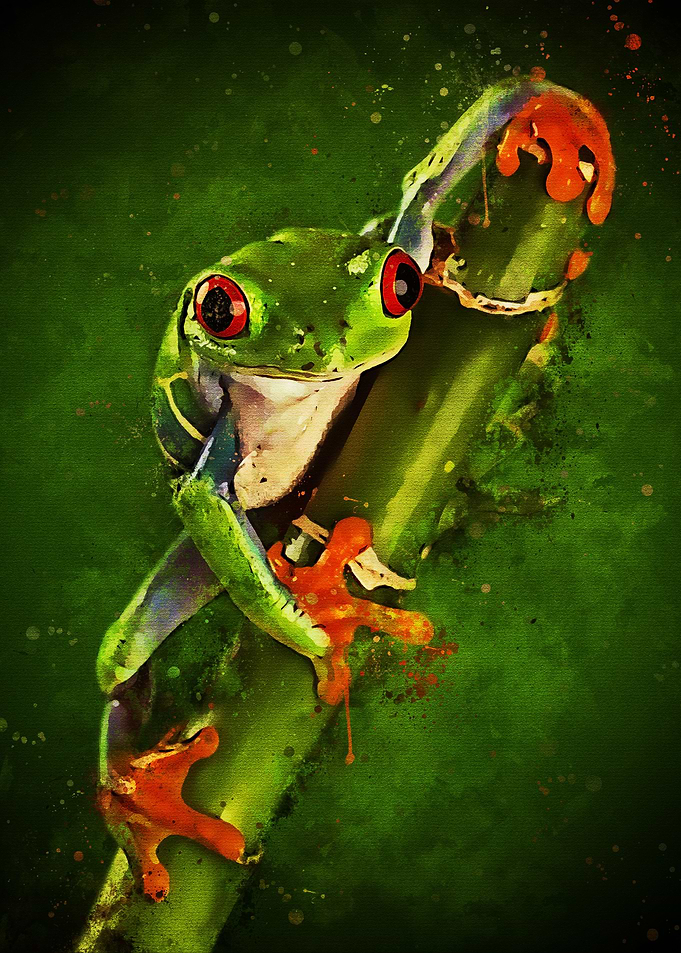 Frog Watercolor