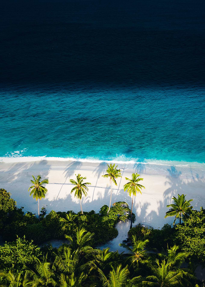 Along The Beach