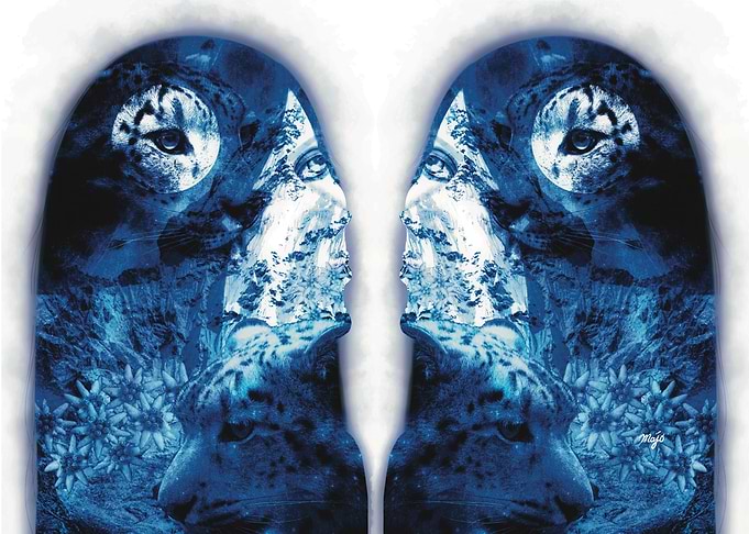 Coexistence 2 Symmetry