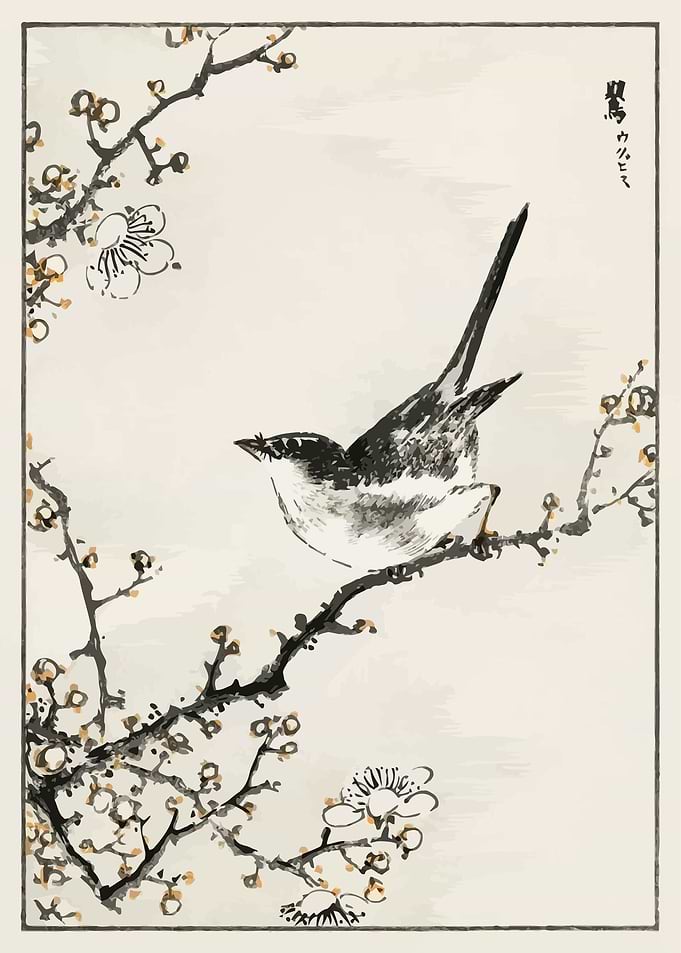 Bush warbler and Plum Tree