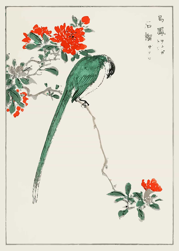 Long tailed Tit