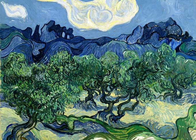 Olive Trees with Alpilles