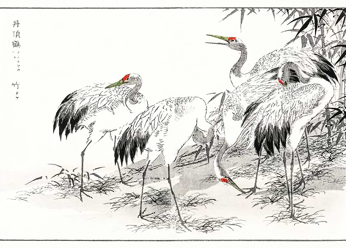 Flamingo Swan Japanese Art