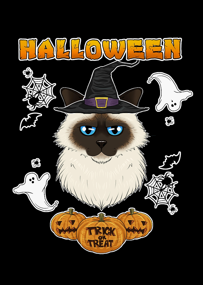 Birman Cat Halloween