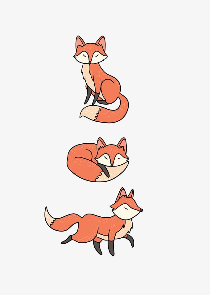 Funny Fox