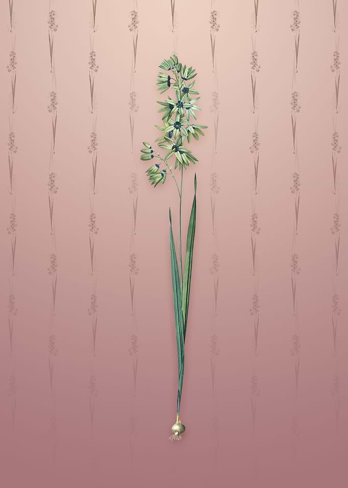 Vintage Turquoise Ixia