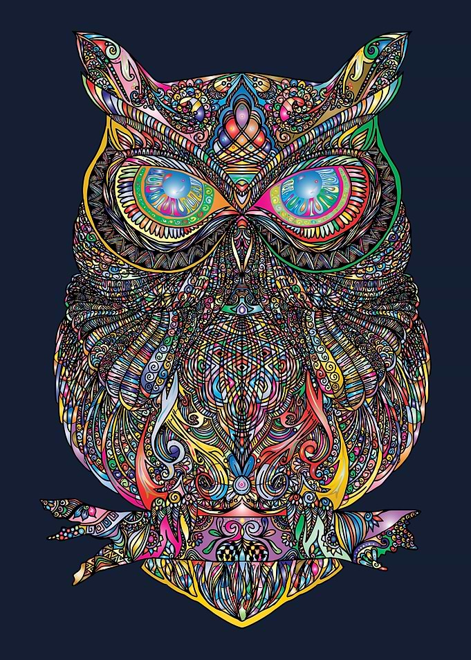 Mysterious Owl