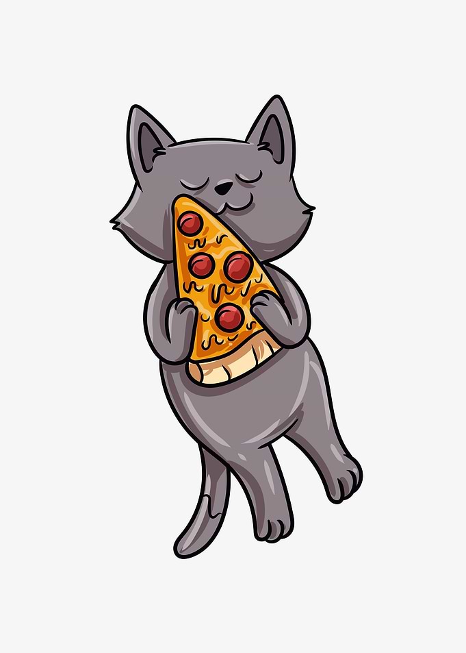 Cat Pizza Gift Idea
