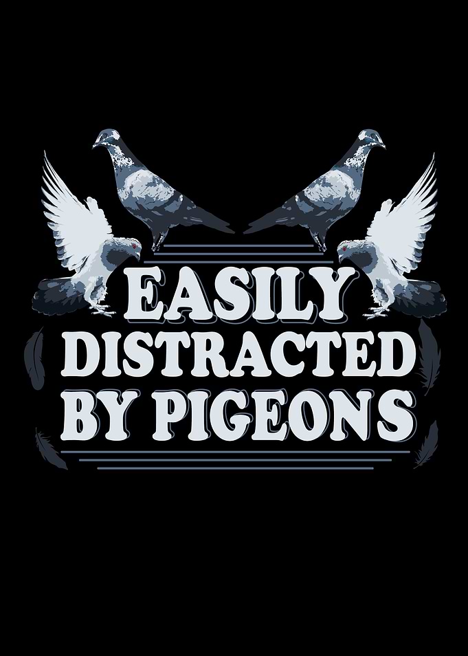 Easily Distracted Pigeons