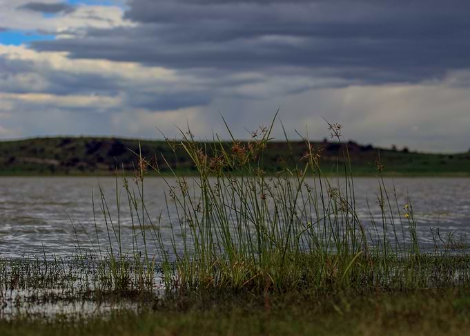 Rainy day at a lake
