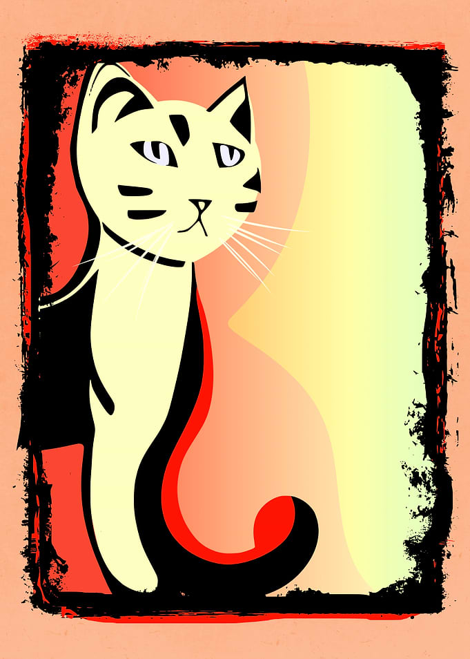 Strange Cats