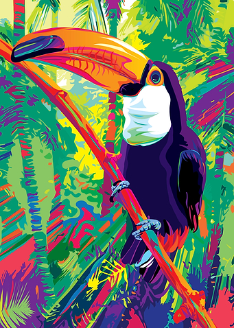 Bolivian Toucan