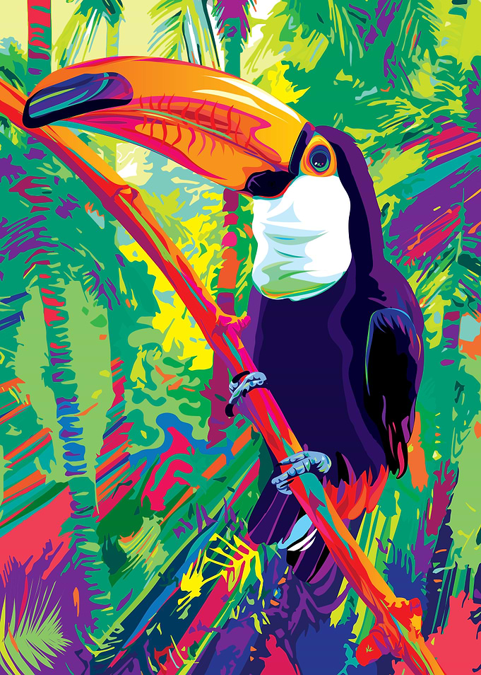 Bolivian Toucan