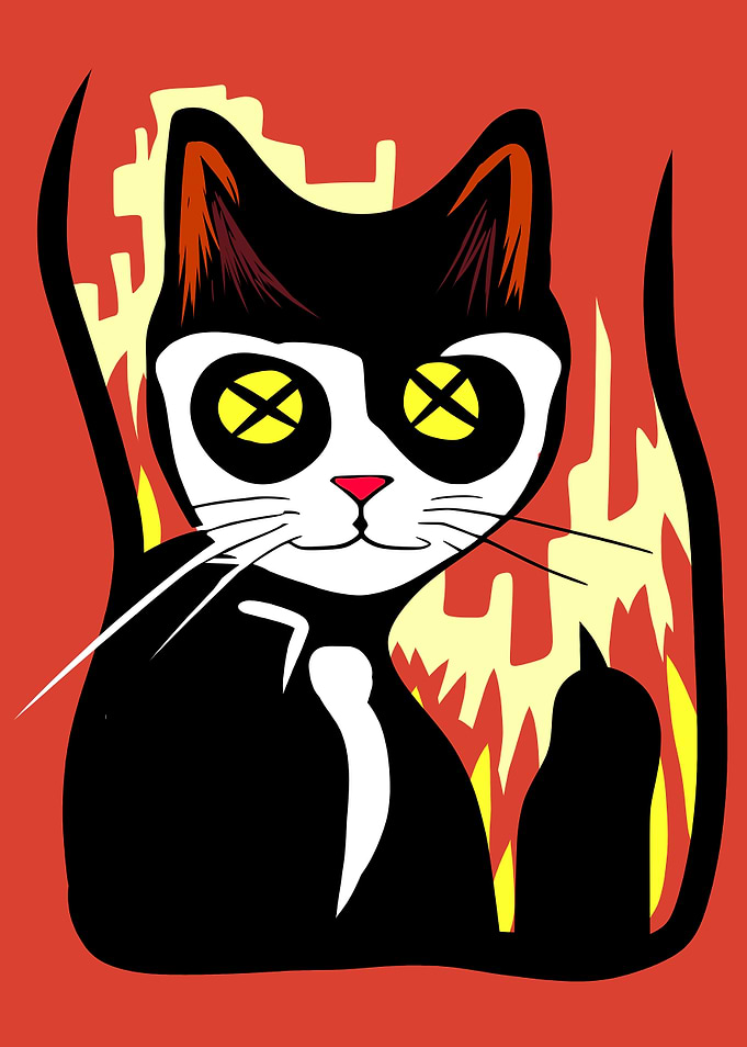 Strange Cats