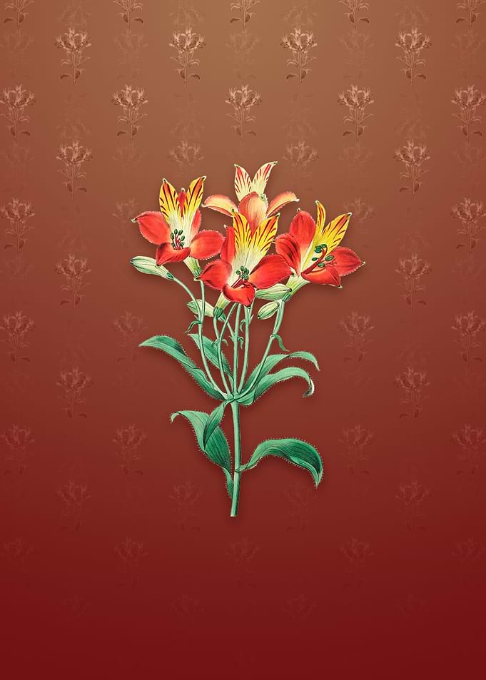 Red Speckled Alstromeria