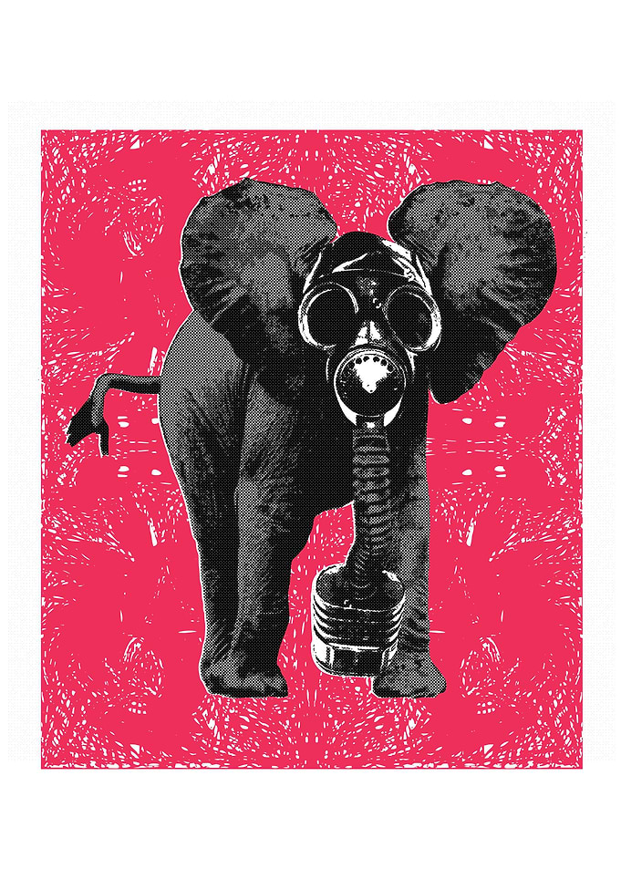 elephant in pollution