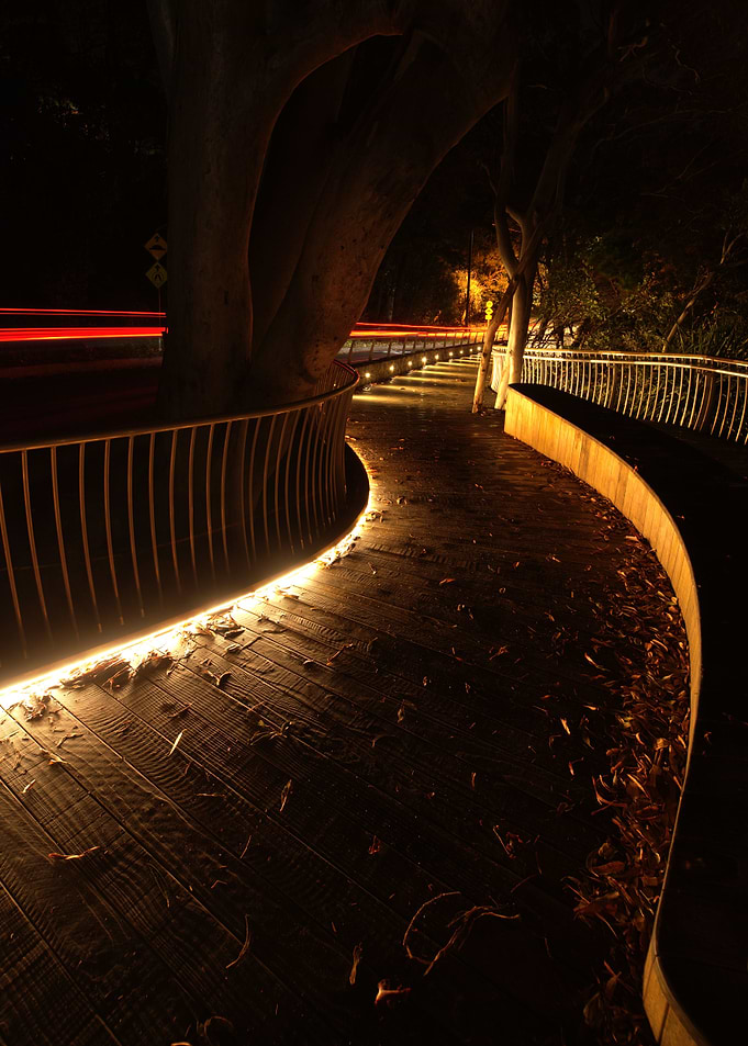 Night path
