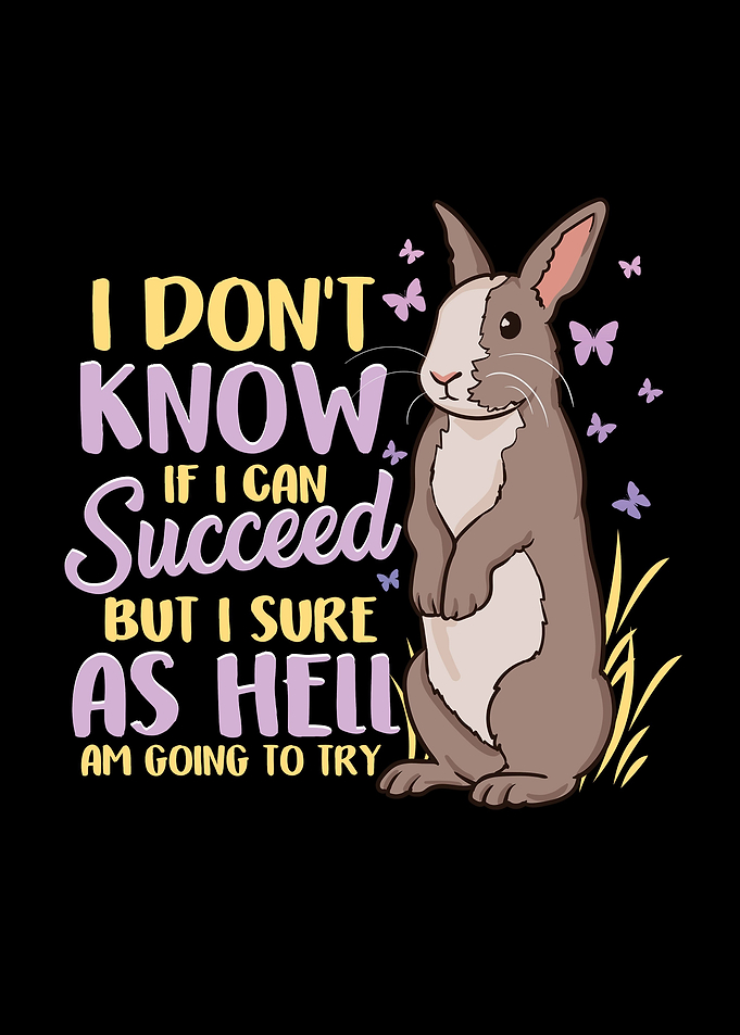 Ambitious Rabbit Success