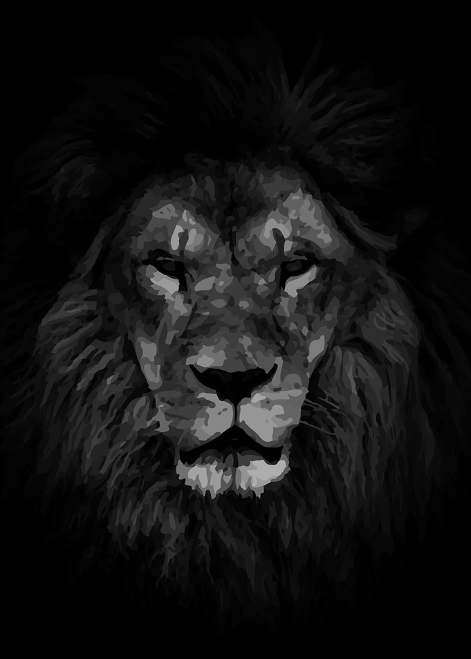 LION KING DARKNESS