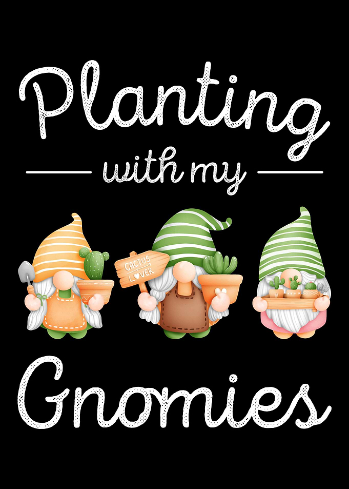 Gnomes Succulent Gardening