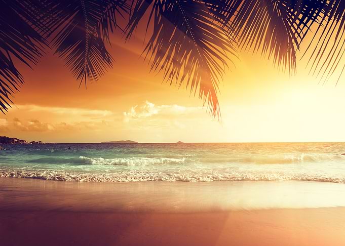 Golden Frond