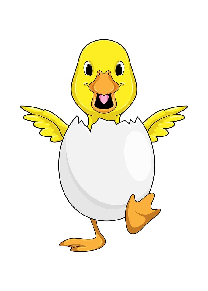 Duck Egg